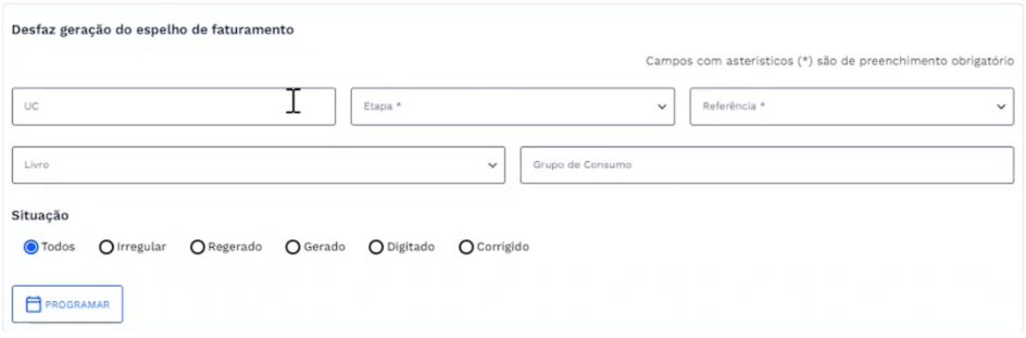 Estrutura dos campos com o botão Programar